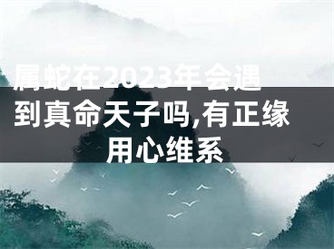 属蛇在2023年会遇到真命天子吗,有正缘用心维系