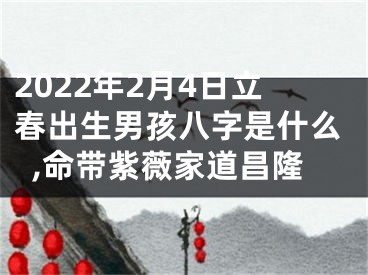 2022年2月4日立春出生男孩八字是什么,命带紫薇家道昌隆