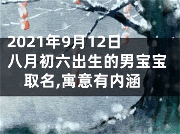 2021年9月12日八月初六出生的男宝宝取名,寓意有内涵