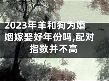 2023年羊和狗为婚姻嫁娶好年份吗,配对指数并不高