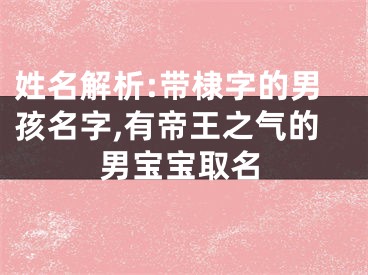 姓名解析:带棣字的男孩名字,有帝王之气的男宝宝取名