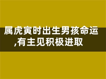 属虎寅时出生男孩命运,有主见积极进取