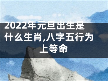 2022年元旦出生是什么生肖,八字五行为上等命