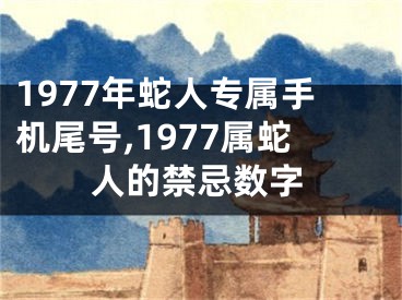 1977年蛇人专属手机尾号,1977属蛇人的禁忌数字