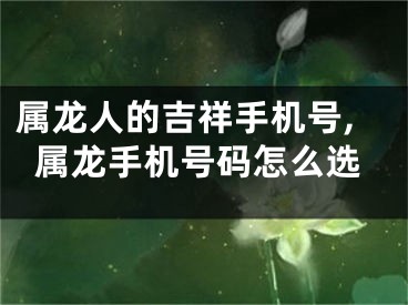 属龙人的吉祥手机号,属龙手机号码怎么选