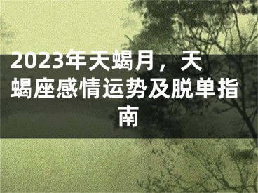 2023年天蝎月，天蝎座感情运势及脱单指南