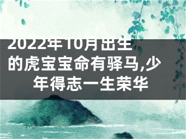 2022年10月出生的虎宝宝命有驿马,少年得志一生荣华