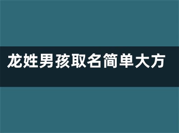 龙姓男孩取名简单大方