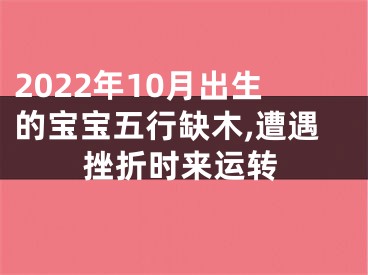 2022年10月出生的宝宝五行缺木,遭遇挫折时来运转