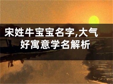 宋姓牛宝宝名字,大气好寓意学名解析