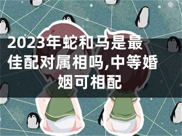 2023年蛇和马是最佳配对属相吗,中等婚姻可相配