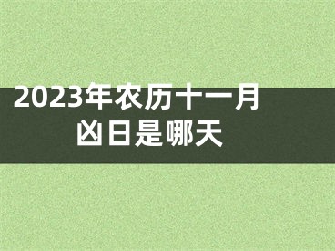 2023年农历十一月凶日是哪天 