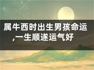 属牛西时出生男孩命运,一生顺遂运气好