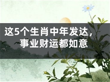 这5个生肖中年发达，事业财运都如意