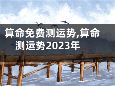 算命免费测运势,算命测运势2023年