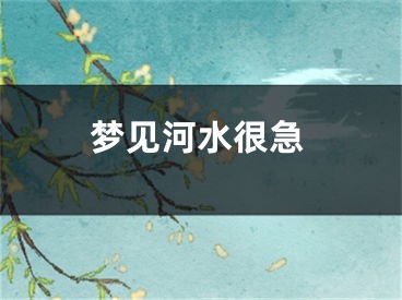 梦见河水很急