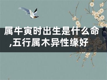 属牛寅时出生是什么命,五行属木异性缘好