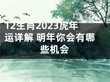 12生肖2023虎年运详解 明年你会有哪些机会