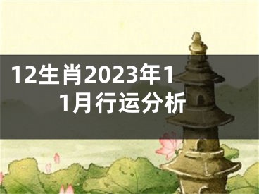 12生肖2023年11月行运分析