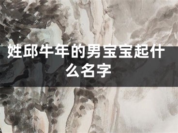 姓邱牛年的男宝宝起什么名字