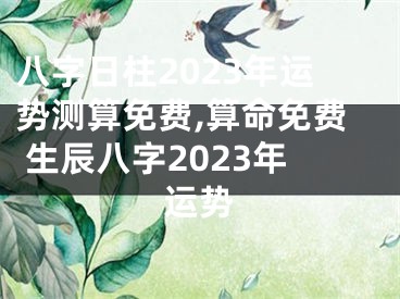 八字日柱2023年运势测算免费,算命免费 生辰八字2023年运势