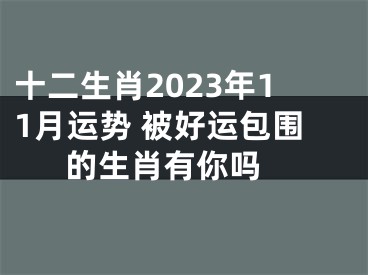 十二生肖2023年11月运势 被好运包围的生肖有你吗 