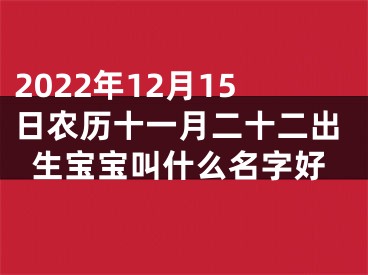 2022年12月15日农历十一月二十二出生宝宝叫什么名字好