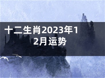 十二生肖2023年12月运势