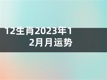 12生肖2023年12月月运势