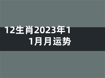 12生肖2023年11月月运势