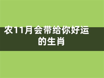 农11月会带给你好运的生肖