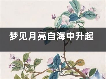 梦见月亮自海中升起