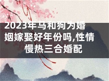 2023年马和狗为婚姻嫁娶好年份吗,性情慢热三合婚配