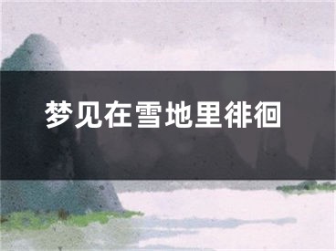 梦见在雪地里徘徊