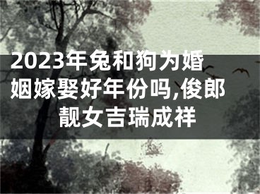 2023年兔和狗为婚姻嫁娶好年份吗,俊郎靓女吉瑞成祥