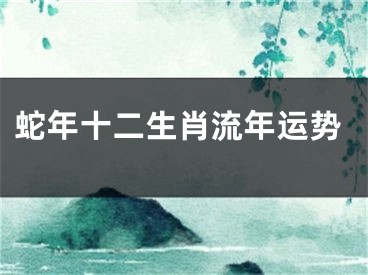 蛇年十二生肖流年运势