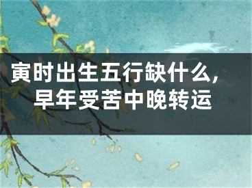 寅时出生五行缺什么,早年受苦中晚转运