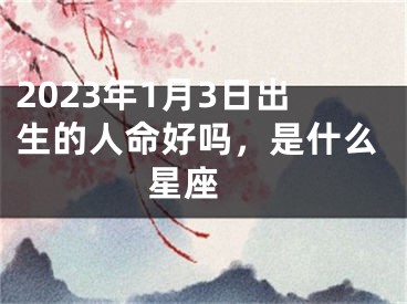 2023年1月3日出生的人命好吗，是什么星座 