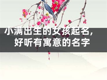 小满出生的女孩起名,好听有寓意的名字