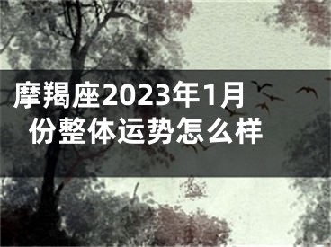 摩羯座2023年1月份整体运势怎么样 