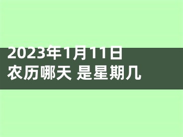 2023年1月11日农历哪天 是星期几 