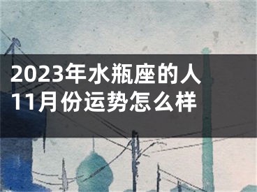 2023年水瓶座的人11月份运势怎么样 