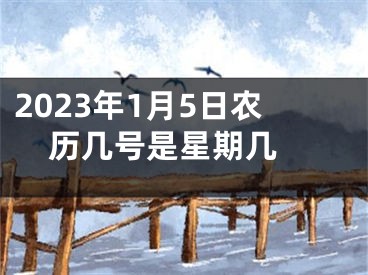 2023年1月5日农历几号是星期几 