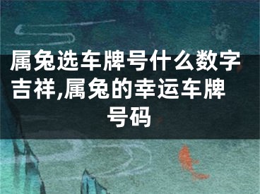 属兔选车牌号什么数字吉祥,属兔的幸运车牌号码