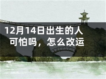 12月14日出生的人可怕吗，怎么改运 