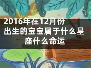 2016年在12月份出生的宝宝属于什么星座什么命运