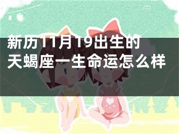 新历11月19出生的天蝎座一生命运怎么样 