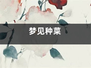 梦见种菜