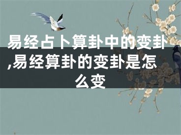 易经占卜算卦中的变卦,易经算卦的变卦是怎么变