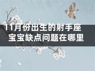 11月份出生的射手座宝宝缺点问题在哪里